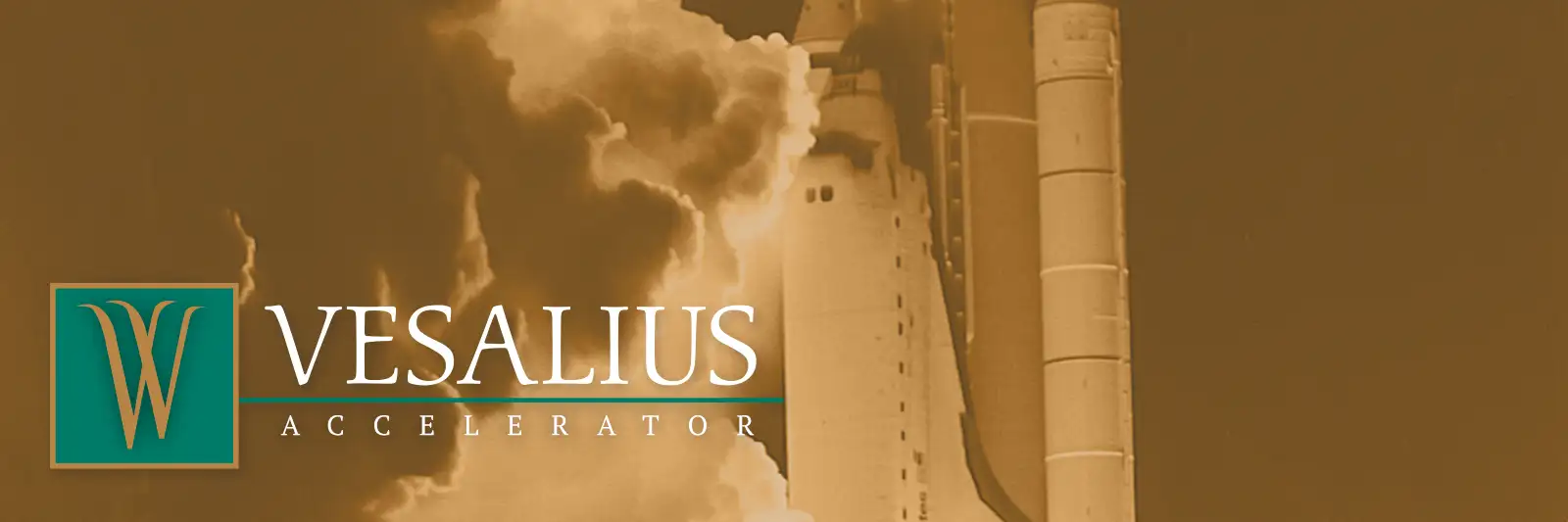 Vesalius Accelerator logo