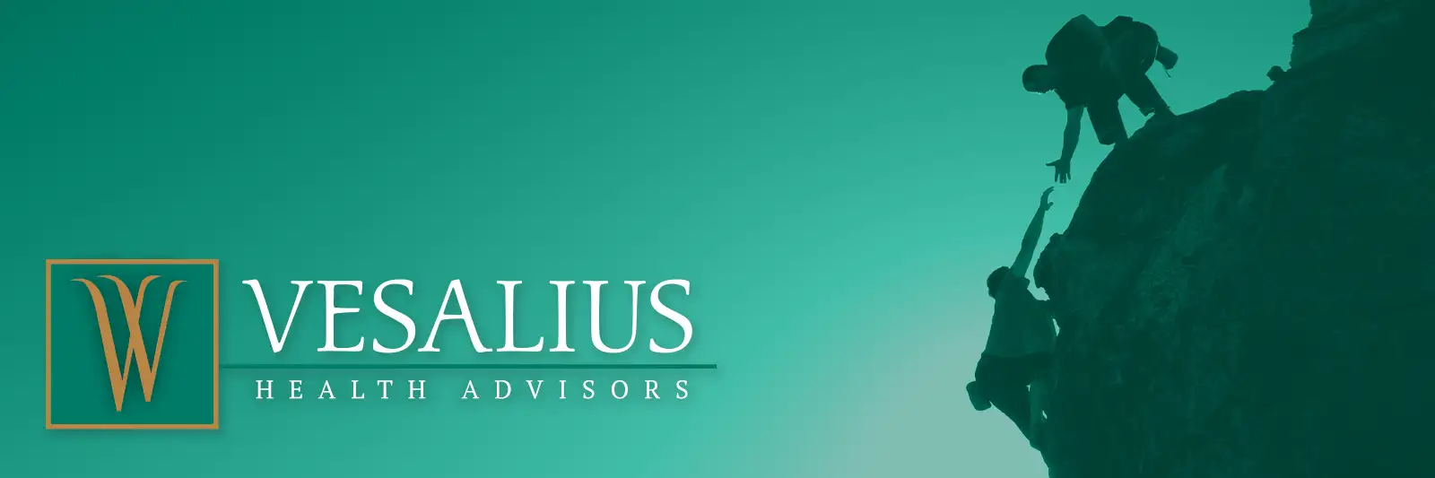 Vesalius International logo
